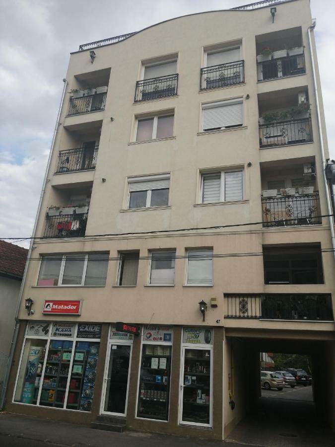 New And Nice Apartments Kragujevac Eksteriør billede